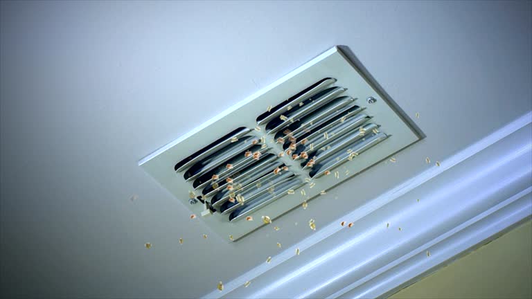 Best Commercial HVAC Duct Cleaning  in Red Lick, TX