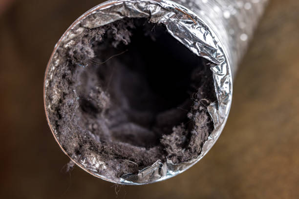 Best Local Air Duct Cleaning Services  in Red Lick, TX