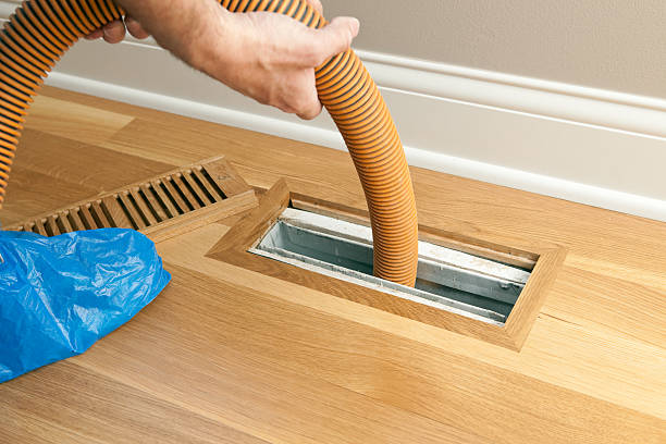 Best Dryer Vent Cleaning Services  in Red Lick, TX