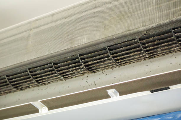 Best Affordable Duct Cleaning Services  in Red Lick, TX